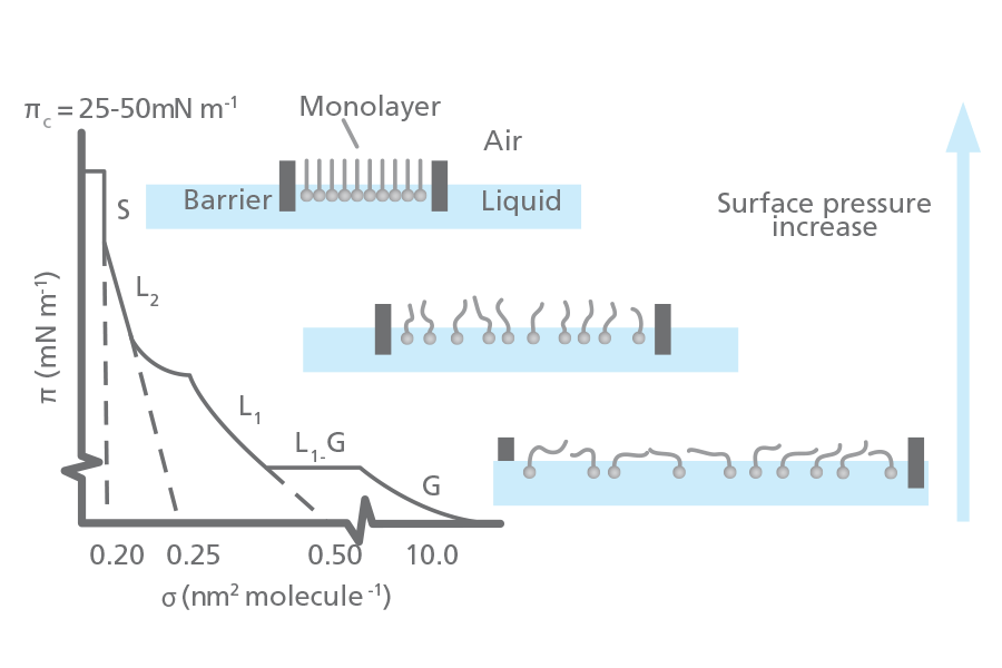 What is surface pressure area isotherm?